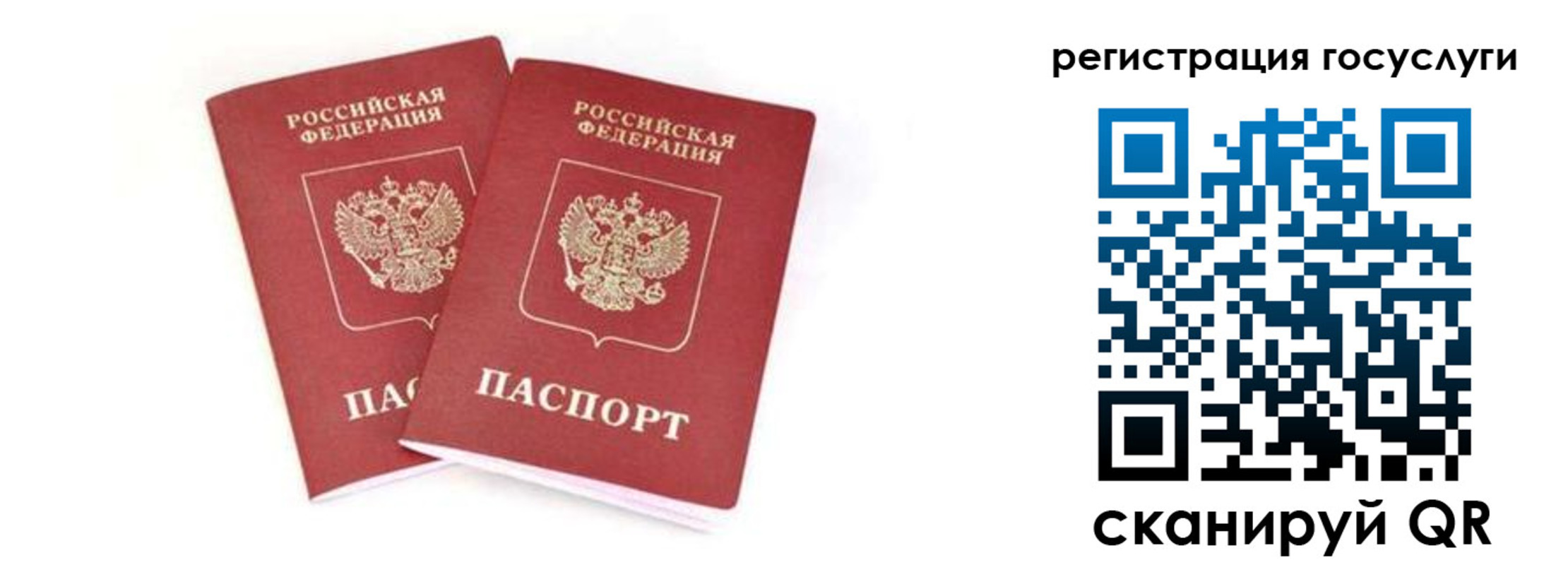 прописка в квартире в Дубовке
